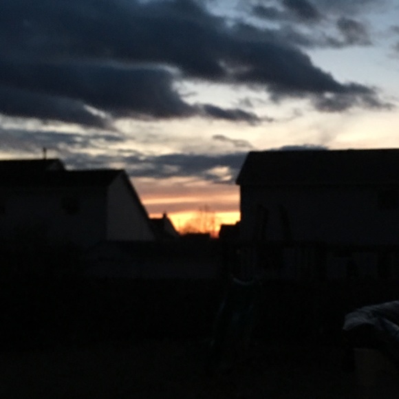 Meet your Posher, Grace - Picture 1 of 1